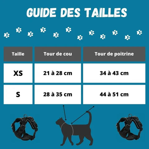 Harnais chat anti-fugue | Chajustable™ + Laisse offerte