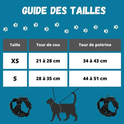 Harnais chat anti-fugue | Chajustable™ + Laisse offerte