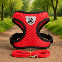 Harnais-chat-ma-boutique-chat