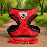 Harnais-chat-ma-boutique-chat