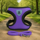 Harnais-chat-ma-boutique-chat7