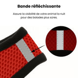 Harnais-chat-ma-boutique-chat99