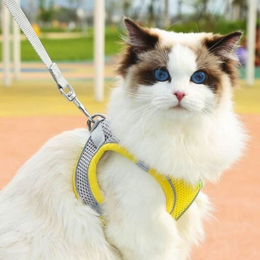 Harnais-pour-chat-jaune
