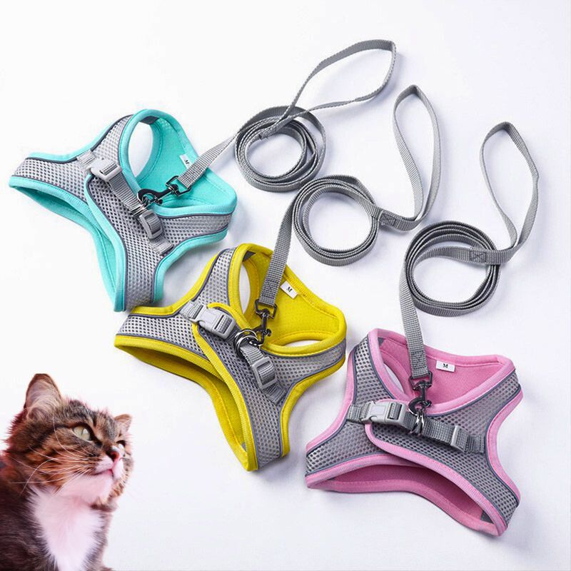 Harnais-pour-chat