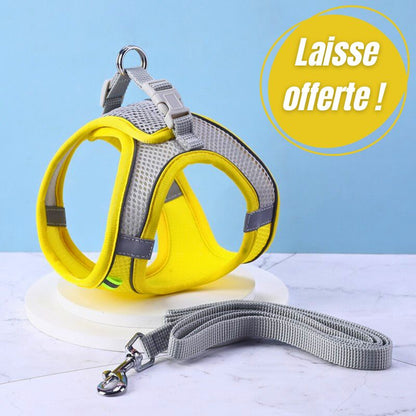 Harnais pour chat | Chaventure™ + Laisse Offerte