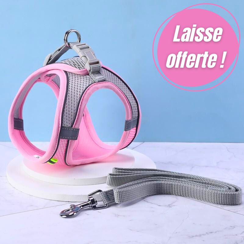 Harnais pour chat | Chaventure™ + Laisse Offerte