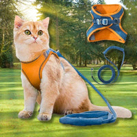 Harnais pour chat | HarnessCat™ + Laisse offerte