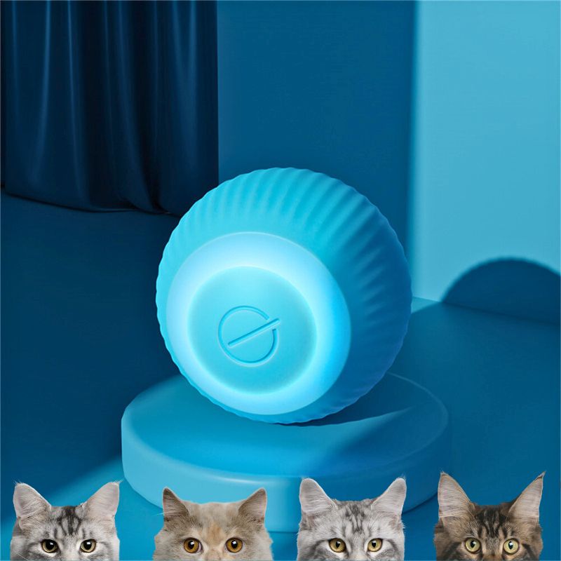 Jeux-pour-chat