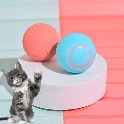 Jeux-pour-chat