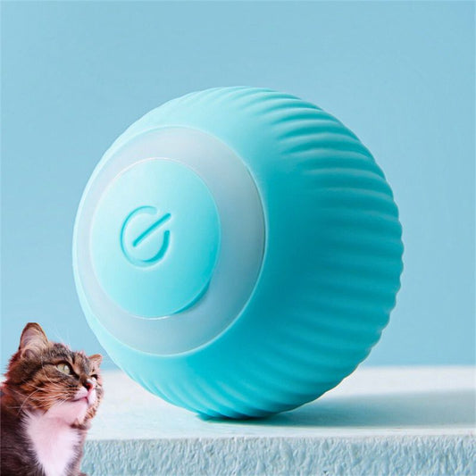 Jeux-pour-chat