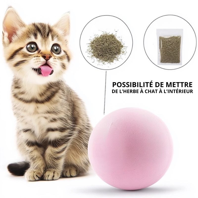 Balle qui chante | CatDribBall™