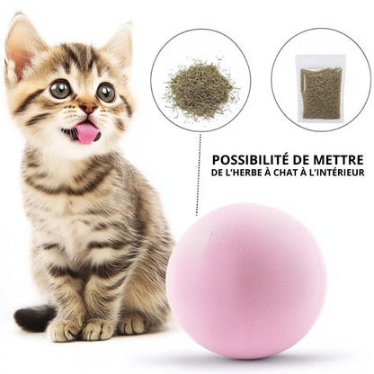 Balle qui chante | CatDribBall™