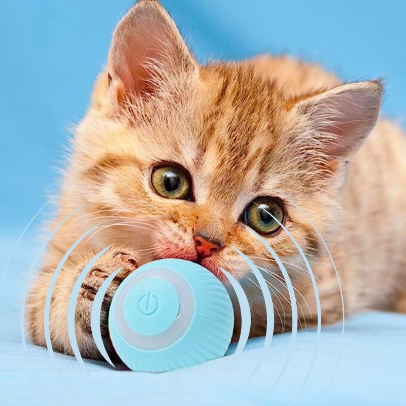 Jeux-pour-chat