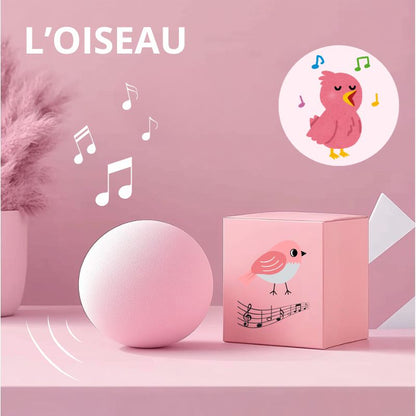 Balle qui chante | CatDribBall™