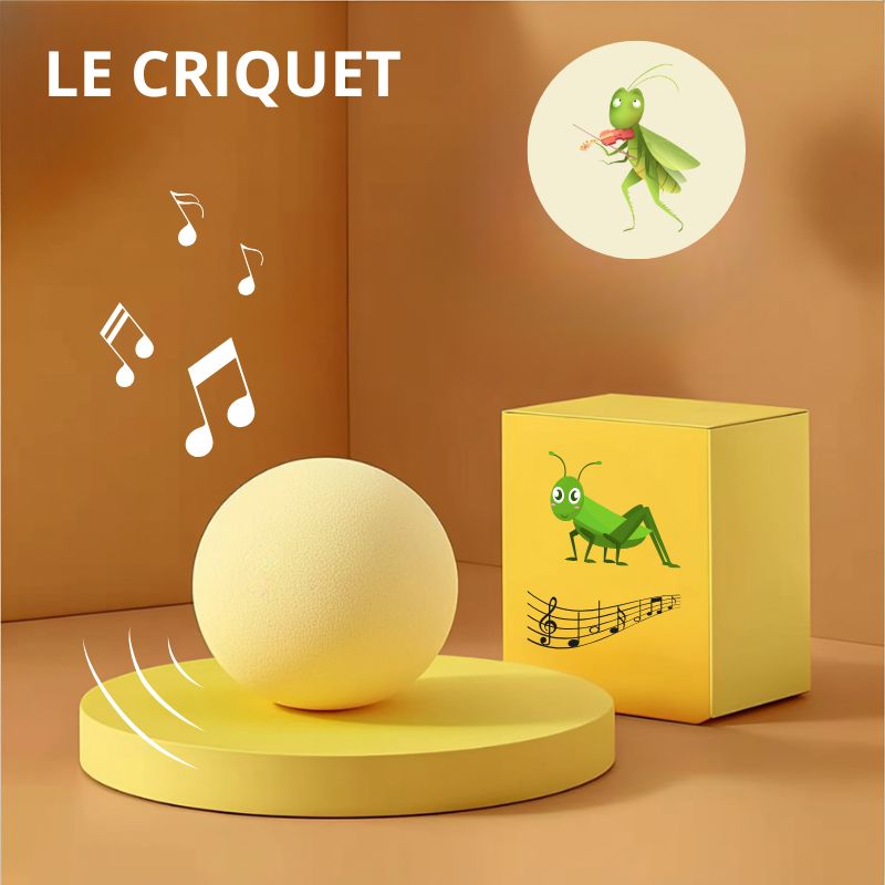 Balle qui chante | CatDribBall™