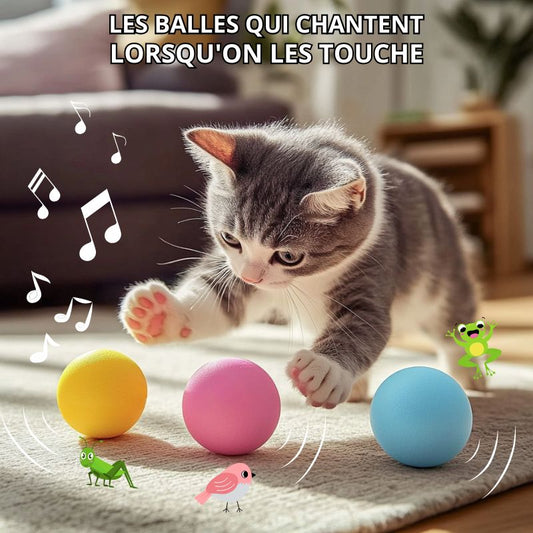 Balle qui chante | CatDribBall™