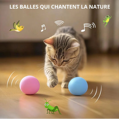 Balle qui chante | CatDribBall™