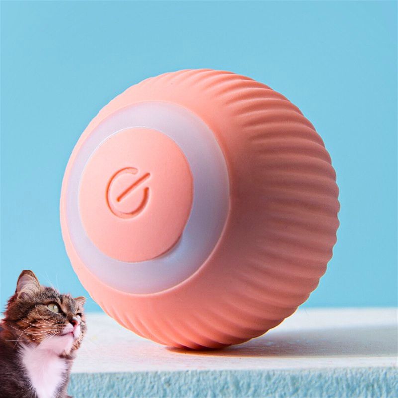 Jeux-pour-chat