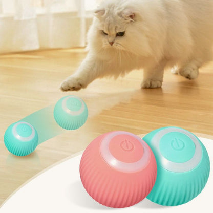 Jeux-pour-chat