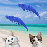 Brosse à dents pour chat | Denticat™