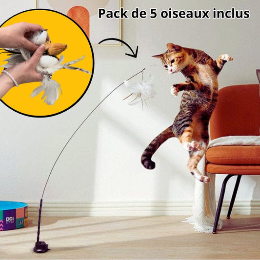 Jeu ventouse + 5 oiseaux pour chat  | BirdFamily™
