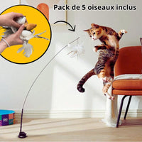 Jouet pour chat oiseau  | BirdFamily™