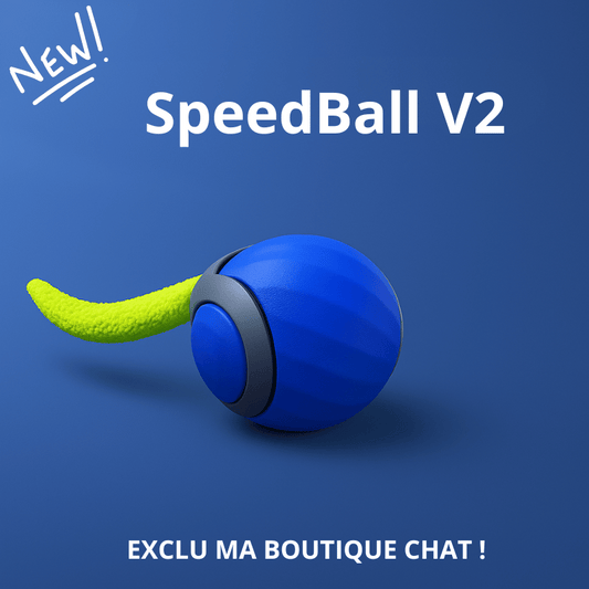 Balle intelligente pour chat | SpeedBall™