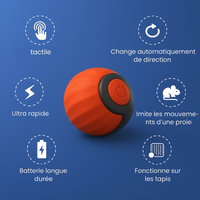 Balle intelligente pour chat | SpeedBall™