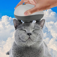 Masseur pour chat | MasseMiaou™