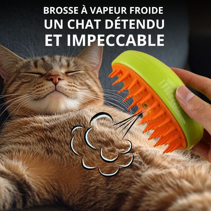 Brosse Anti-poils Massante | VapBrush™ (1+1 Offert)