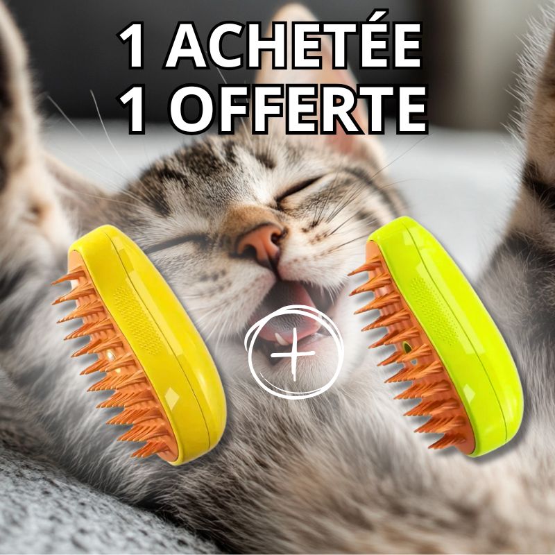 Brosse Anti-poils Massante | VapBrush™ (1+1 Offert)