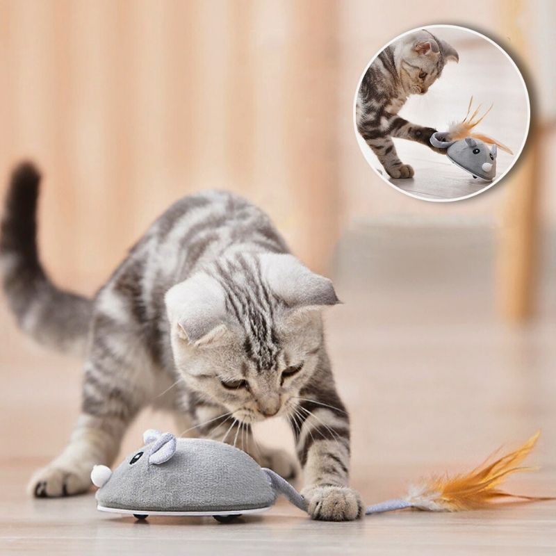 souris-pour-chat