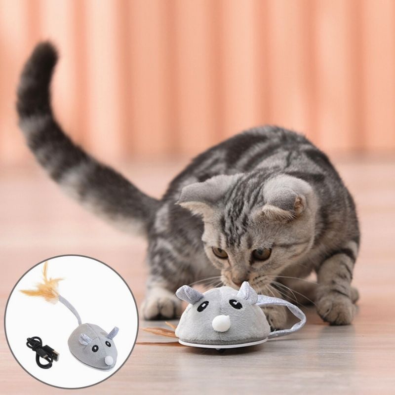 souris-pour-chat