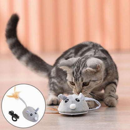 souris-pour-chat