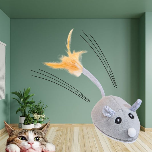 souris-pour-chat