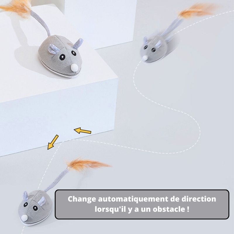 souris-pour-chat