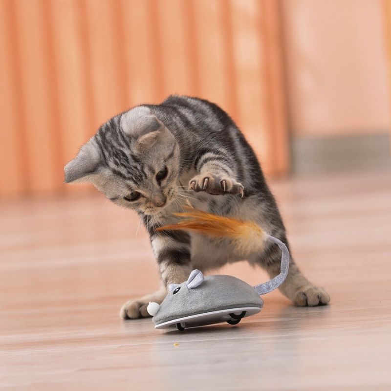 souris-pour-chat