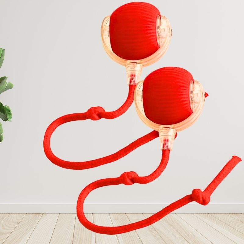 Jouet balle interactive pour chat avec corde rouge