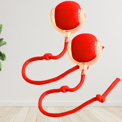 Jouet balle interactive pour chat avec corde rouge