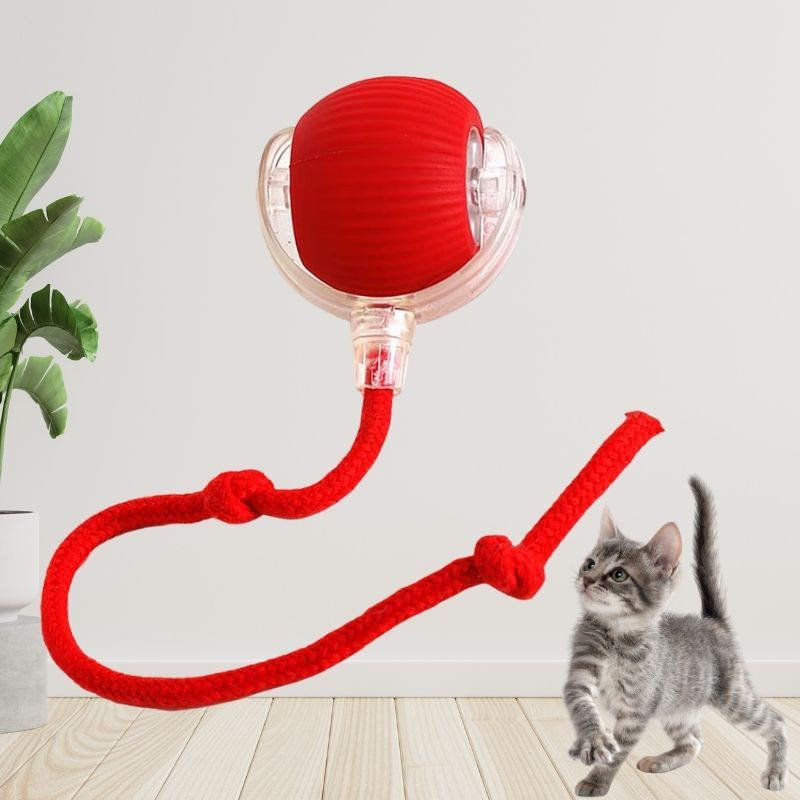 Balle interactive rouge pour chat avec cordon