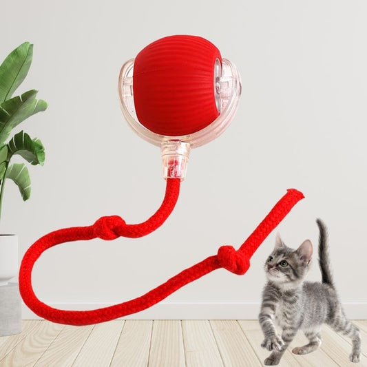 Balle interactive rouge pour chat avec cordon