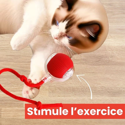 Balle interactive qui stimule l’exercice des chats