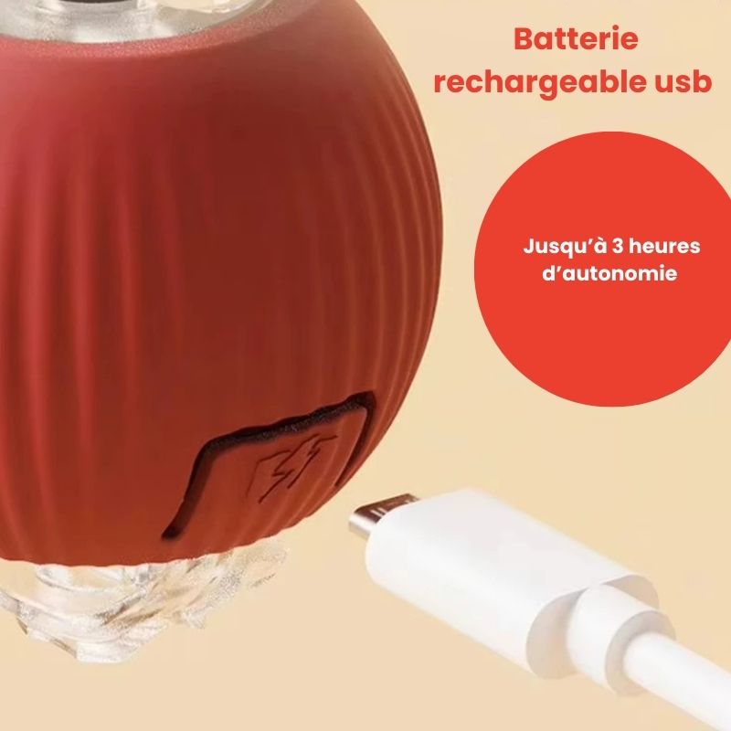 Jouet pour chat balle interactive rechargeable USB