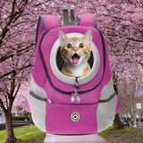 Chat dans sac rose Catpacky avec cerisiers en fleurs en arrière-plan