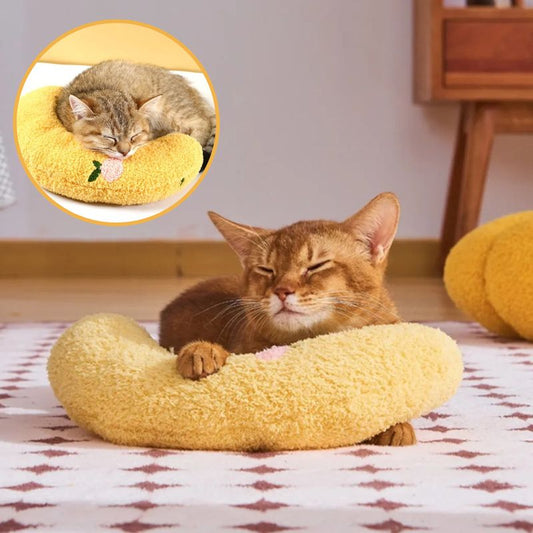 Coussins pour chat | CoussinLune™