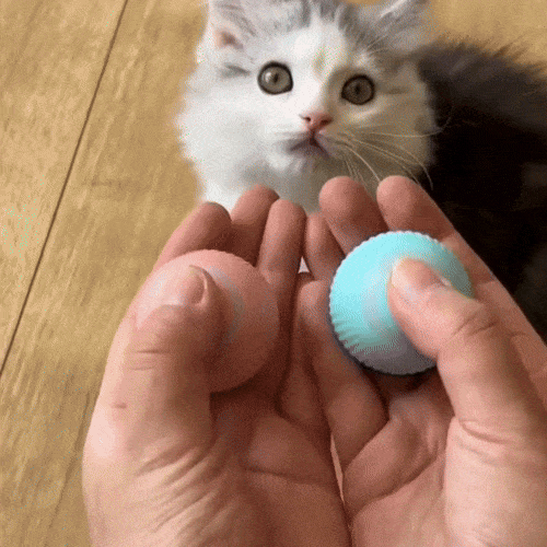 La balle magic pour chat | MagicBall™