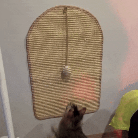 Tapis griffoir pour chat | Scratty™