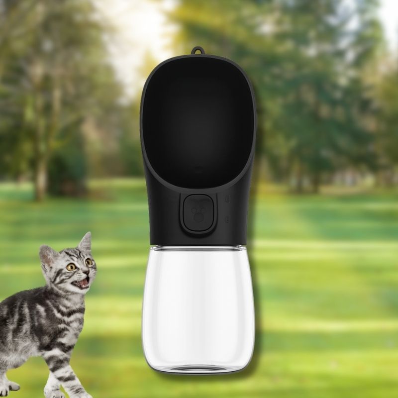 gourde-eau-chat-portable