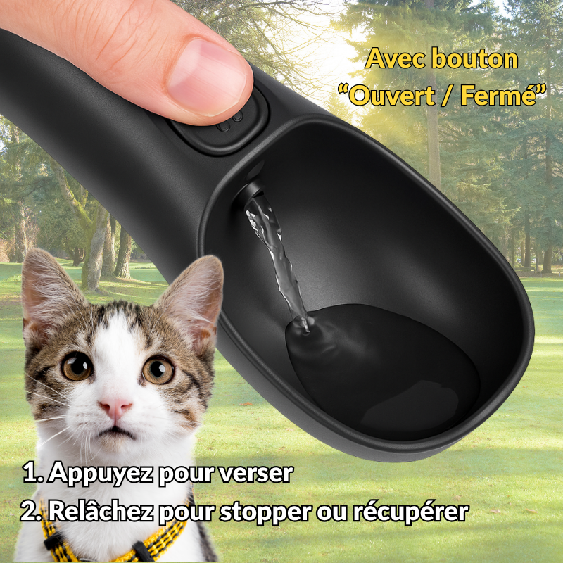 Chat à côté d'une gourde d'eau portable, pratique pour l'hydrater facilement lors des déplacements

