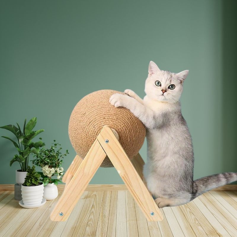 Chat blanc grimpant sur un griffoir boule design en bois Orbicat™ sur fond vert